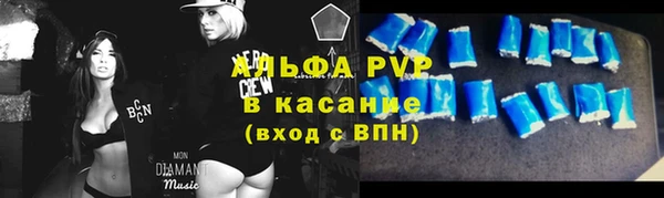 СК Вязьма