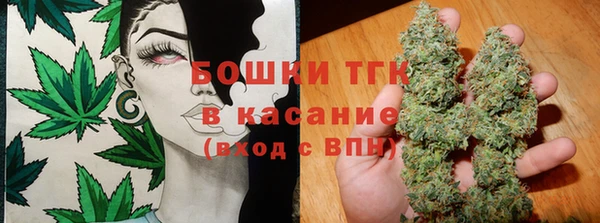 СК Вязьма