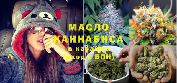 СК Вязьма
