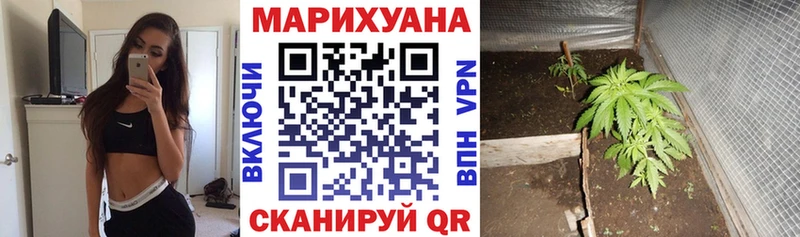 Купить где Нурлат Конопля AK-47
